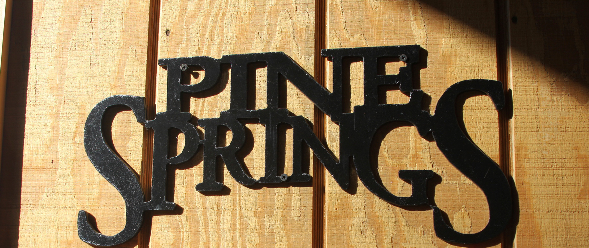 pine springs words on wood wall